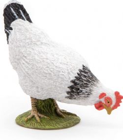 PAPO - POULE BLANCHE PICORANT #51160